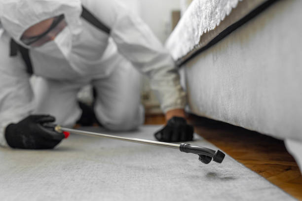 Professional Bed Bug Control technician working in Baiting Hollow, NY