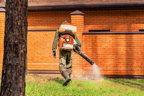 Trusted Bed Bug Control service in Baiting Hollow, NY - Nex Pest Control